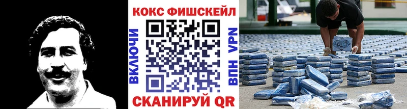 Купить где  Унеча  Кокаин Fish Scale 