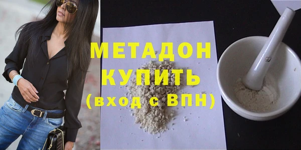 индика Вяземский