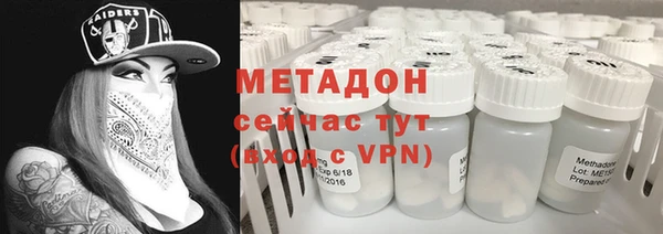 индика Вяземский