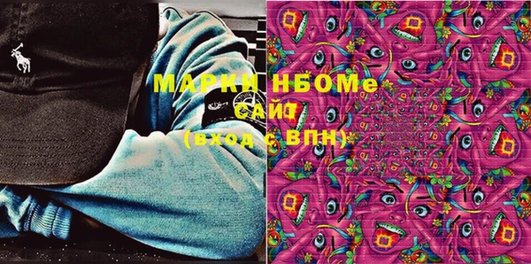 индика Вяземский