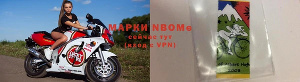 индика Вяземский