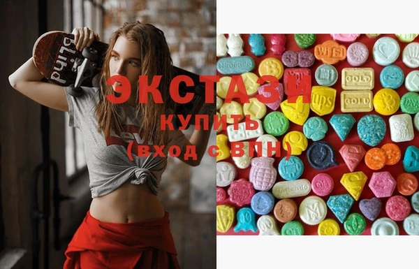 индика Вяземский