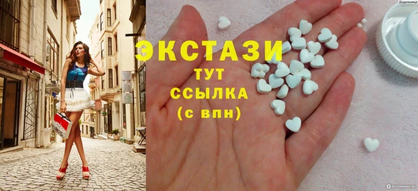 индика Вяземский