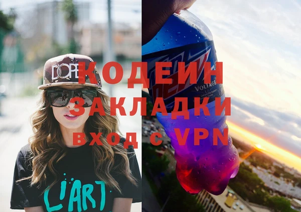 индика Вяземский