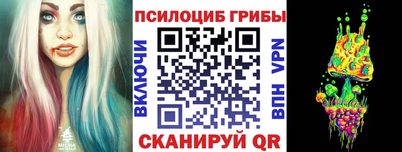 Купить закладки  Унеча  Псилоцибиновые грибы Magic Shrooms 
